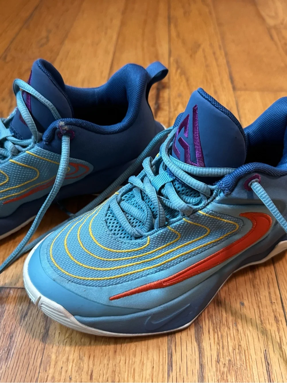 Kids Giannis Nike Blue basketball shoes